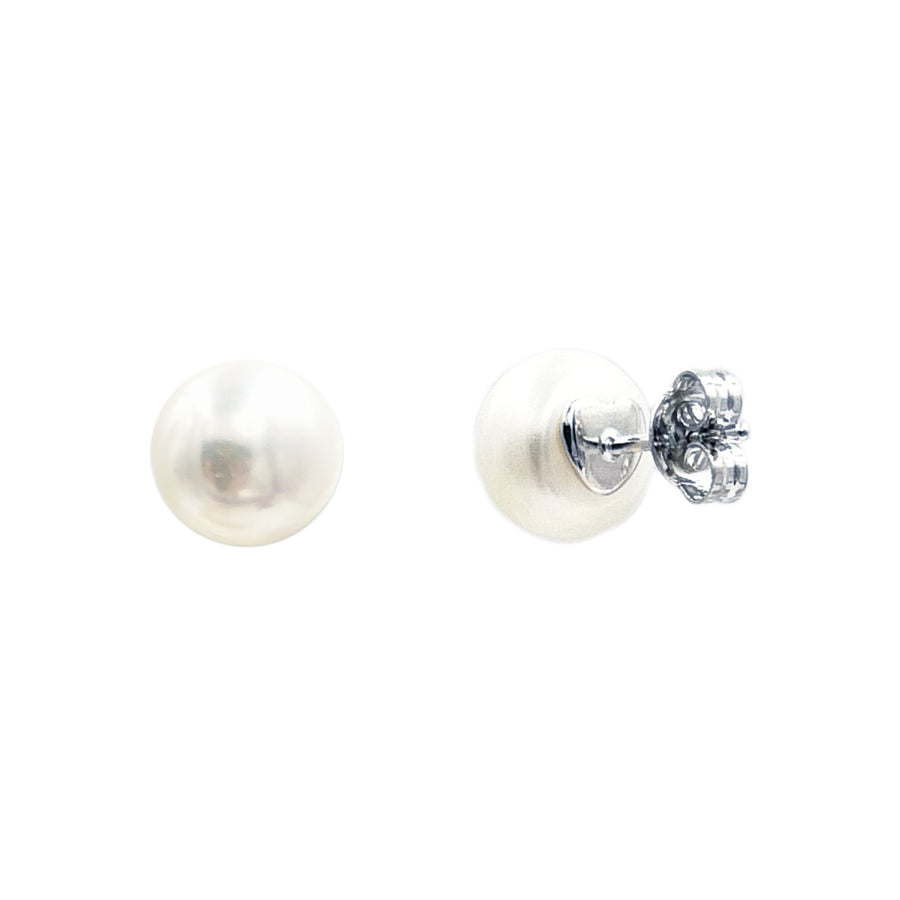 LARGE PEARLICIOUS STUDS